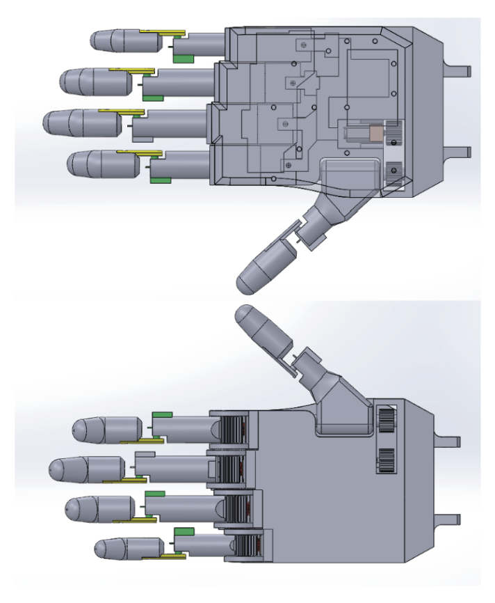 F:\La ultima vez\Ilustraciones\Fig. 4 Vista de la mano palmar (superior). Vista de la mano dorsal (inferior) en Solidworks.png