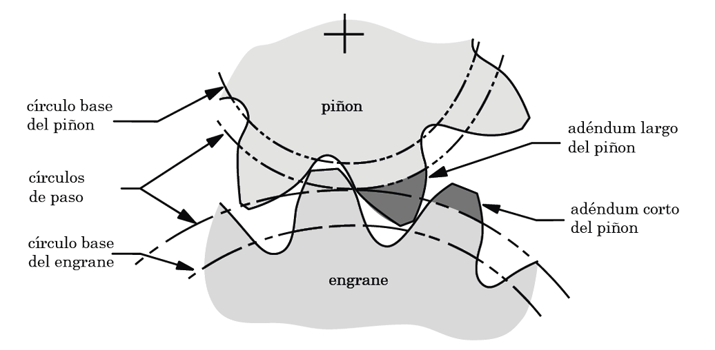 F:\La ultima vez\Ilustraciones\Fig. 5 Dientes de engranes con perfiles modificados, con adenda largos y cortos para evitar la interferencia y el rebaje.png